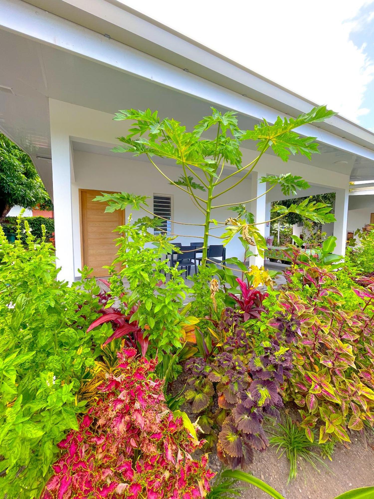 Pare Lodge Tahiti Pirae Εξωτερικό φωτογραφία