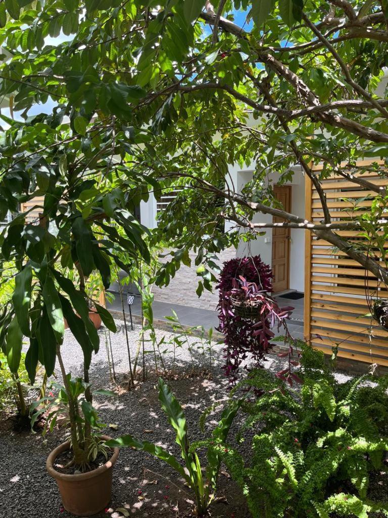 Pare Lodge Tahiti Pirae Εξωτερικό φωτογραφία