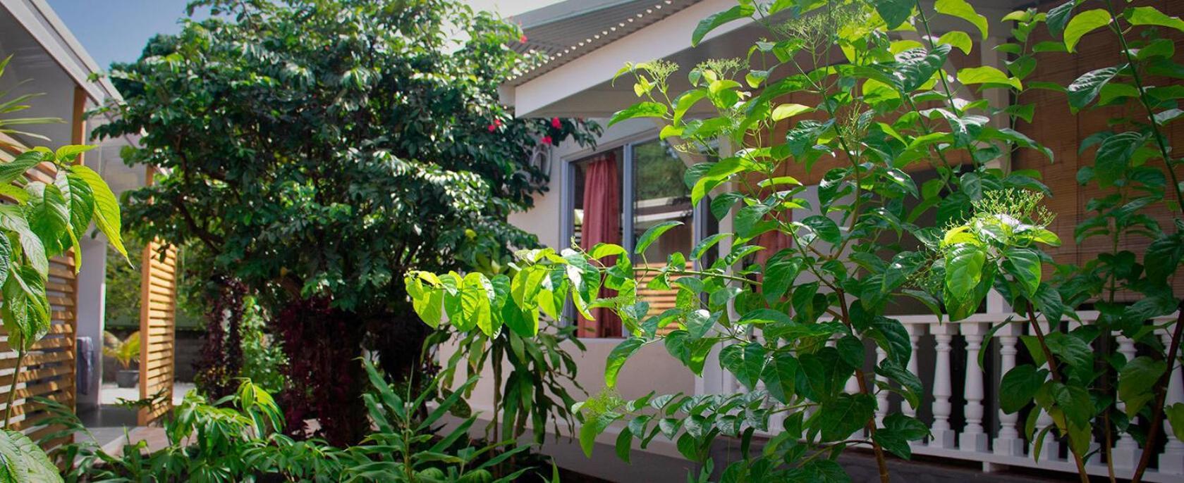 Pare Lodge Tahiti Pirae Εξωτερικό φωτογραφία